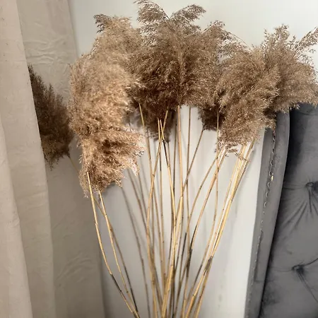 Estella Bara-nowo Lotnisko 5 Min Baranowo (Gmina Tarnowo Podgorne)