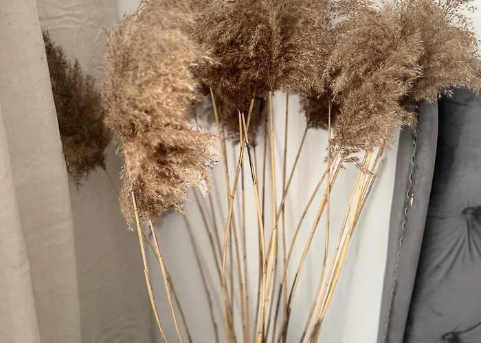 Estella Bara-nowo Lotnisko 5 Min Baranowo (Gmina Tarnowo Podgorne)