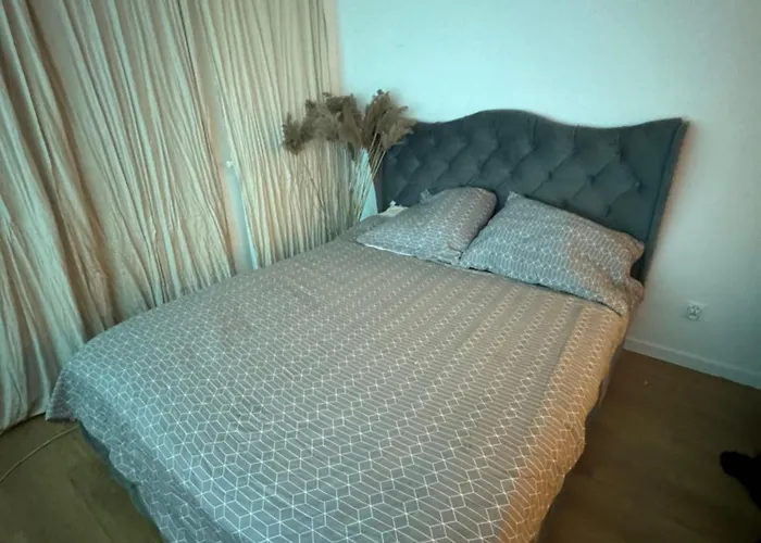 Estella Bara-nowo Lotnisko 5 Min